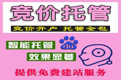 行业趋势下的SEM竞价代运营公司成功案例分析